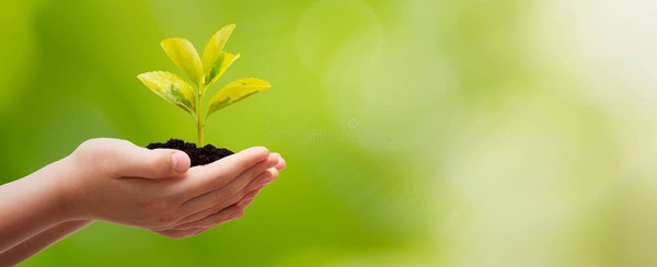 Protection Environnementale