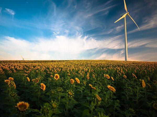 Technologie et Environnement: Avantages et désavantages