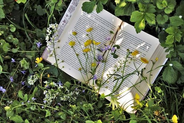 L'importance des programmes d'éducation environnementale