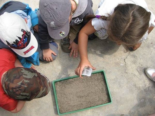 L'importance des projets locaux de conservation de la biodiversité